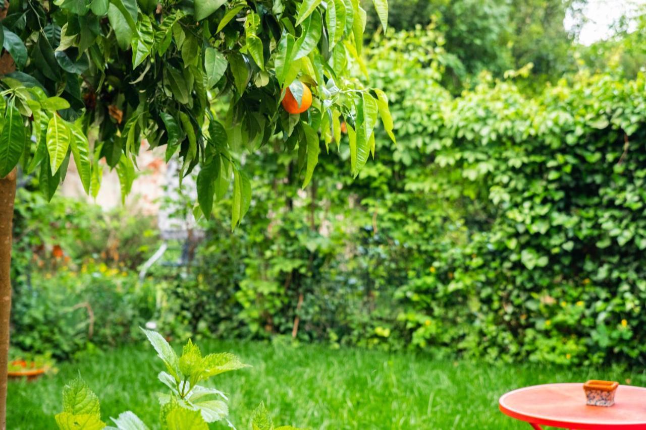 Marylou Gardenhouse Apartment Pisa Exterior photo