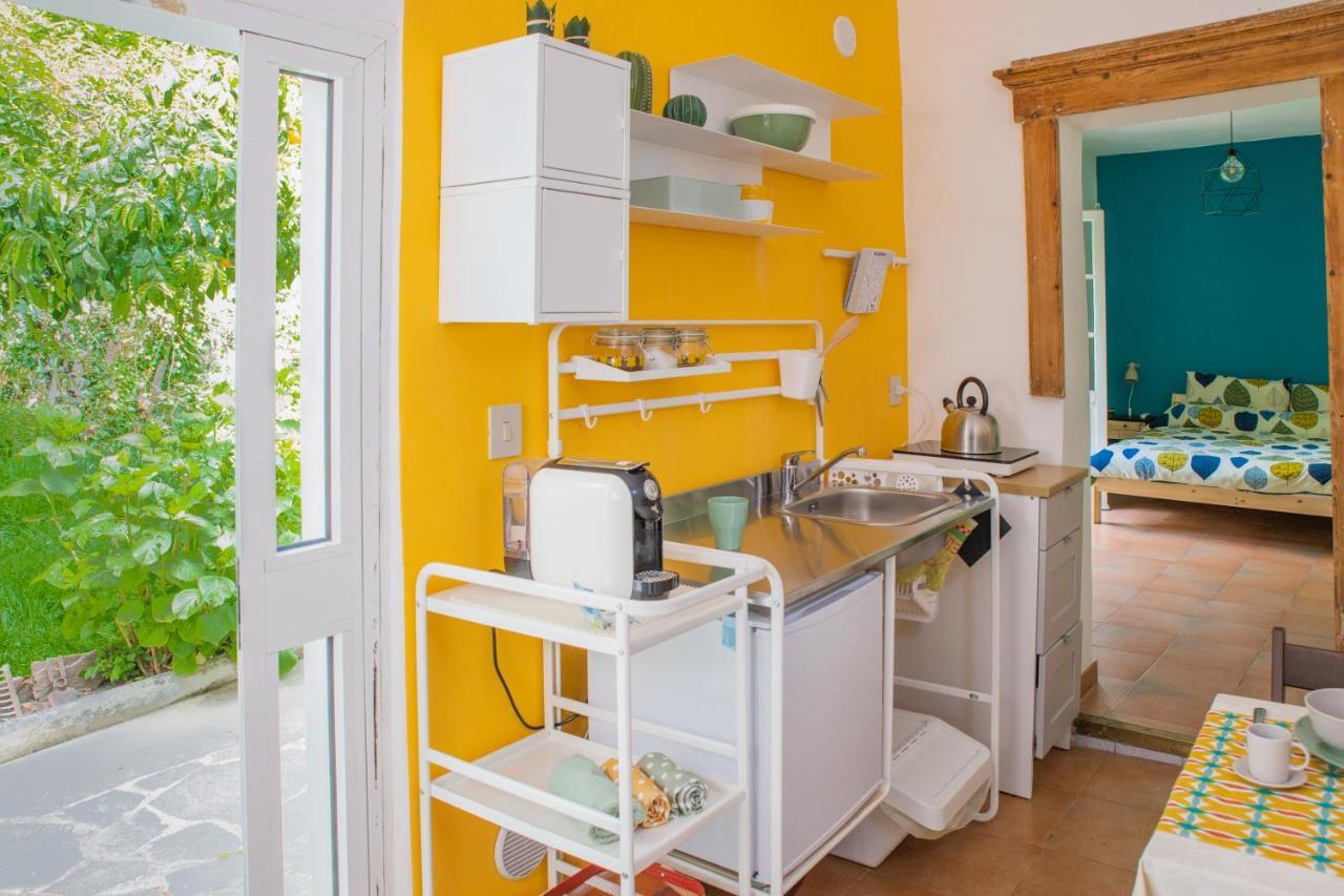 Marylou Gardenhouse Apartment Pisa Exterior photo